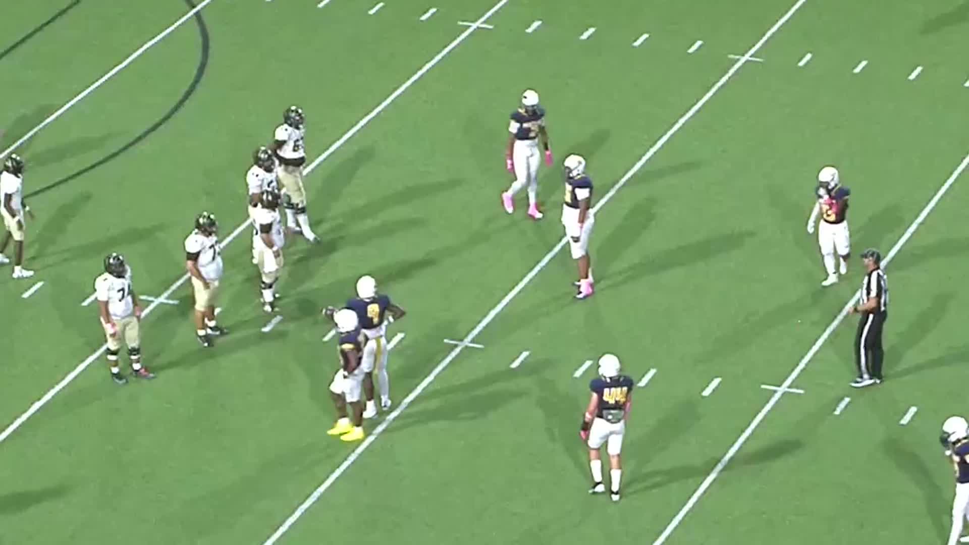 Amari Vickerson - Cy Ranch - 2025 Junior Season Highlights