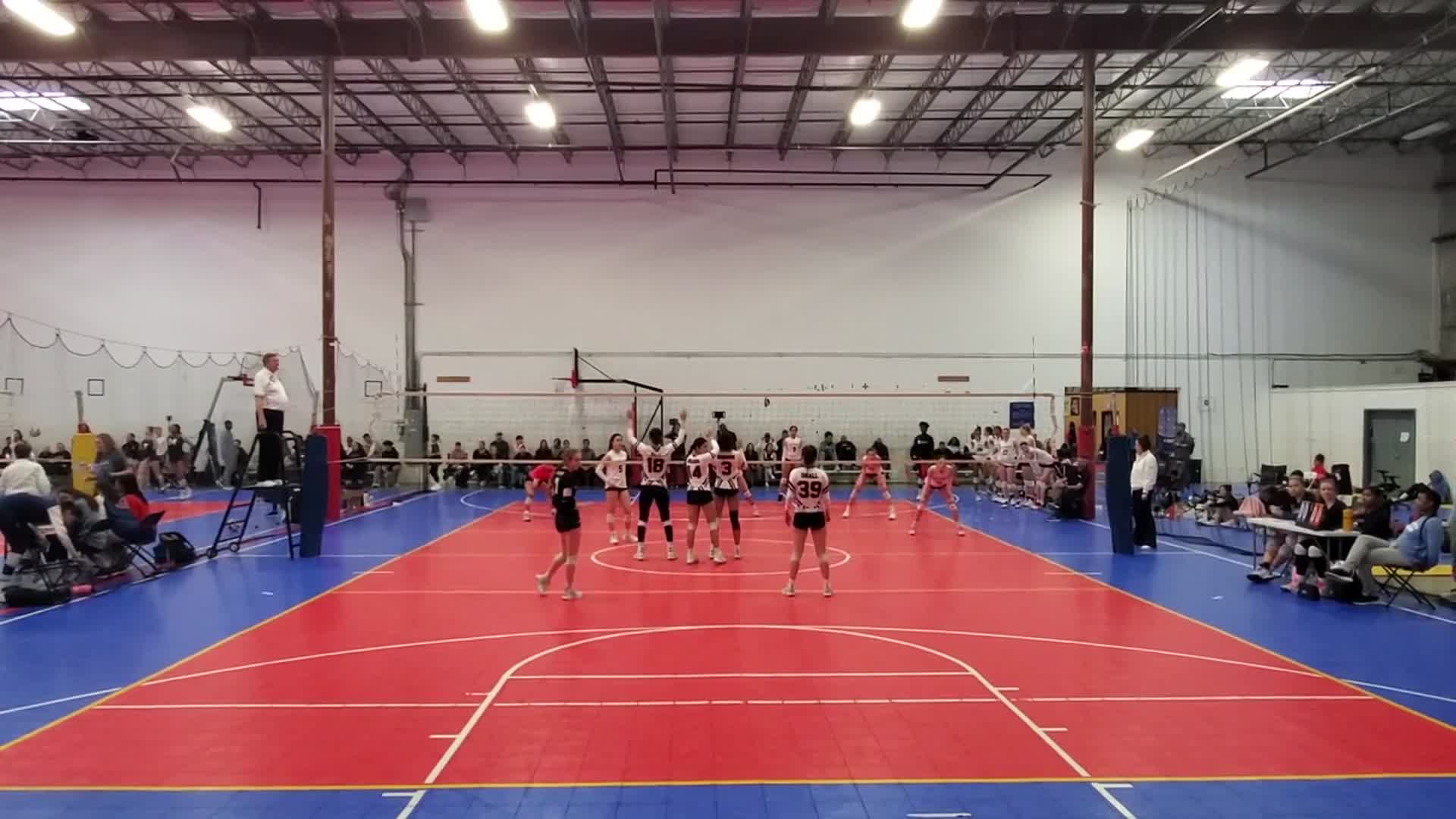 Paramount Volleyball Club Tatum Hall highlights Hudl