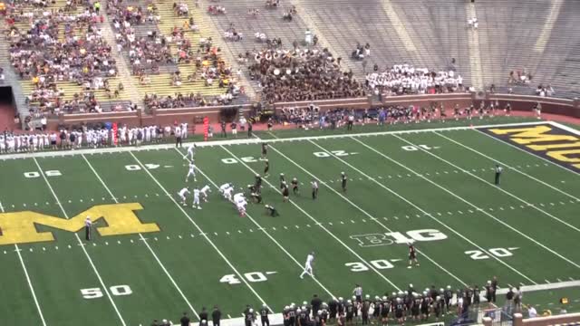 Boys Varsity Football Stevenson High School Livonia Michigan