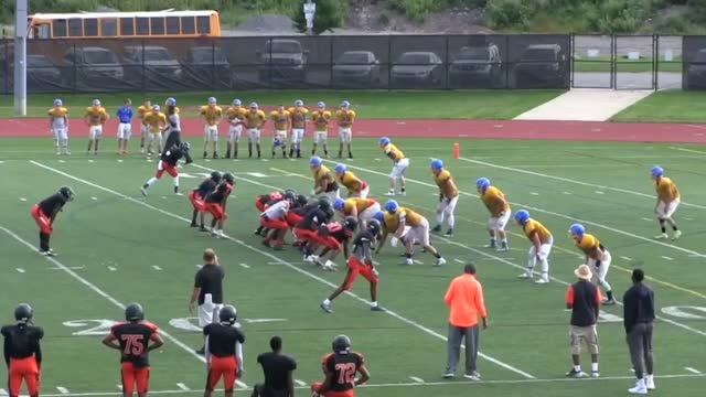 Varsity Football Hamburg High School Hamburg New York